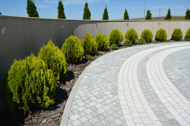 Best Driveway Paving Near Me  in Marillo, CA